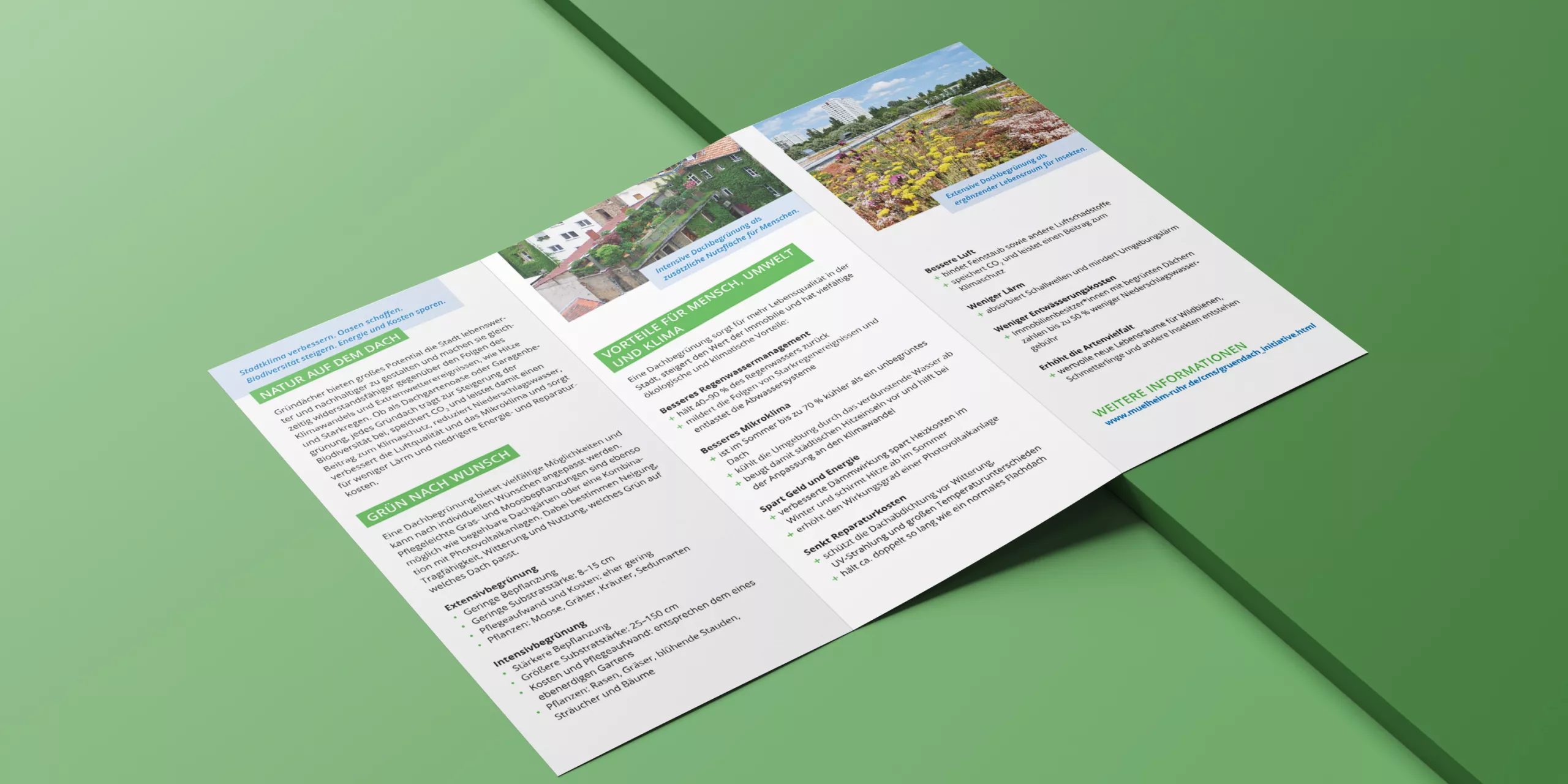 flyer grafikdesign gruenes dach